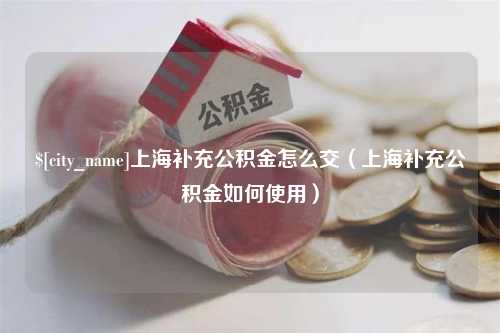 温州上海补充公积金怎么交（上海补充公积金如何使用）